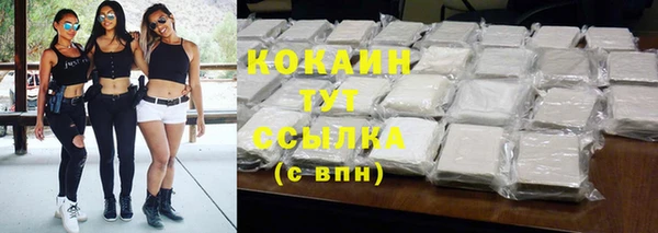 гашик Новокубанск