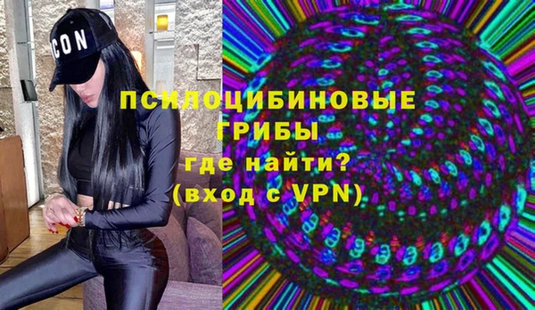 гашик Новокубанск