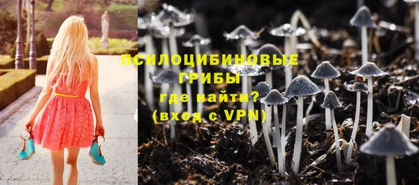 первитин Нефтегорск