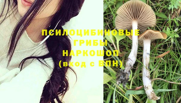 альфа пвп Новозыбков