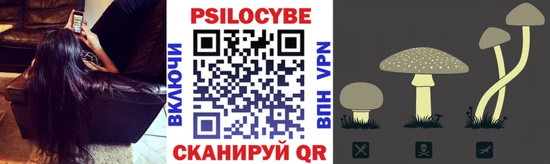 Псилоцибиновые грибы мицелий  закладка  Мамадыш 